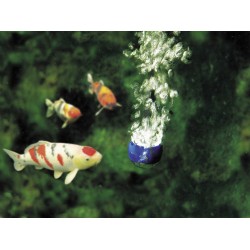 AquaOxy 5000